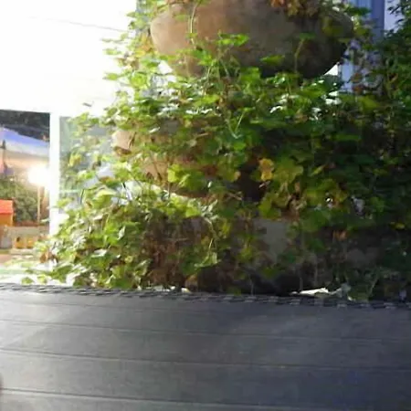 Hotel Vera Riccione