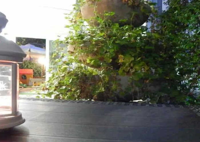 酒店 Vera 里乔内